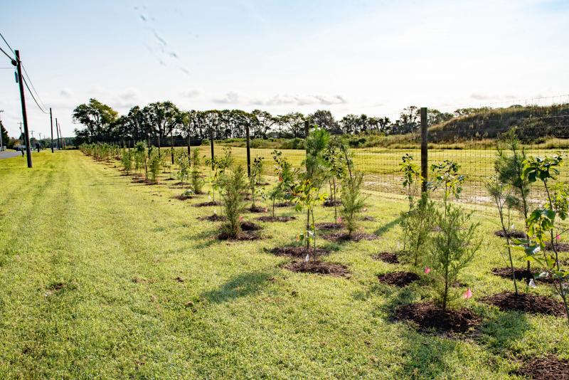 Grant allows Delaware Botanic Gardens to plant 270 trees Cape Gazette